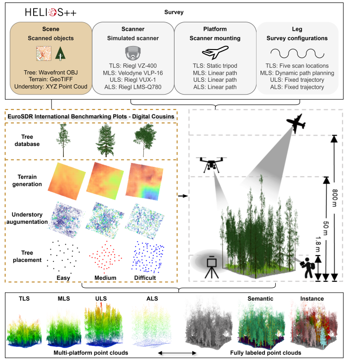 Advancing the Understanding of Fine-Grained 3D Forest Structures using Digital Cousins and Simulation-to-Reality: Methods and Dataset